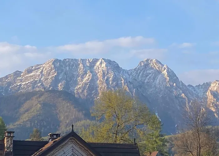 Wantula زاكوباني