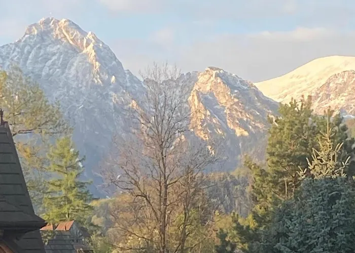 Wantula * زاكوباني